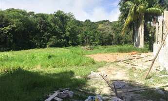 Imagem 2: RURAL . - JUQUIA SP