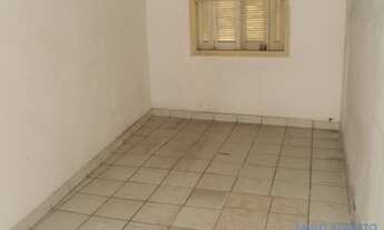 Imagem: GALPÃO - ACLIMAÇÃO - SP