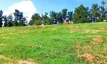 Imagem 13: GATANRA JÁ SEU TERRENO