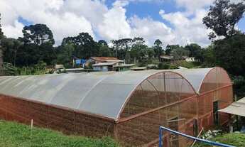 Imagem: Chácara com 6 mil metros quadrados, com