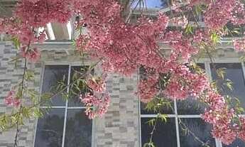 Imagem 3: Sobrado à venda com 4 dormitórios em Caraguatá, Mairiporã, SP