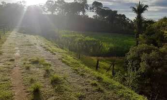 Imagem 4: OPORTUNIDADE FAZENDA 56 ALQUEIRES