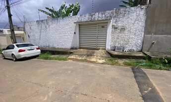 Imagem: Aracagy próximo ao mandacaru