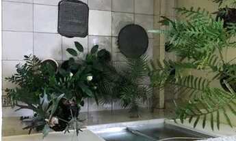 Imagem 7: Amplo ap - 6 quartos - São Francisco Xavier