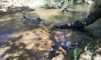 Imagem 5: Fazenda Planaltina DF