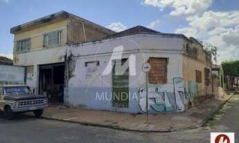 Imagem 7: Casa (térrea na rua) 3 dormitórios