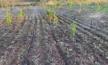 Imagem 5: Posse 13.8 hectares Incra 7 aceit- casa em Vicente Pires ou arniqueiras