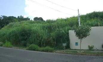 Imagem 4: área - Parque Taquaral - Campinas