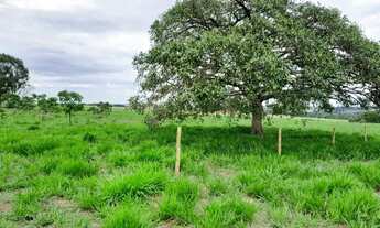 Imagem 2: Chácara medindo: 21.000mts. Excelente localização!