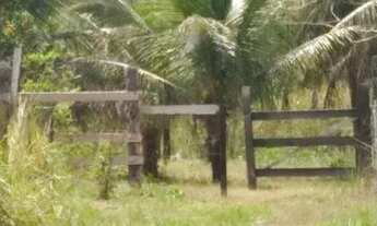 Imagem 5: Vendo esta colônia na Alcoobrás