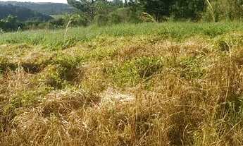 Imagem: 2 loteTerreno 1000 M2