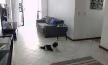 Imagem 6: Apartamento com 3 dormitórios à venda, 130 m² por R$ 750.000,00 - Praia da Costa - Vila Ve