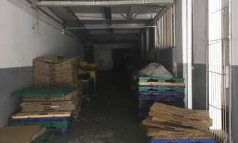 Imagem 2: Prédio para Locação em São Paulo, Cambuci, 20 vagas