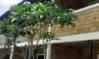 Imagem: Sobrado para aluguel tem 80m2 com 2 quartos