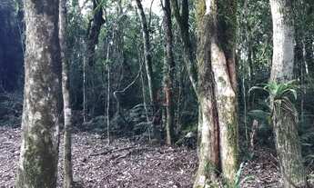 Imagem 5: Terreno no Condomínio O Bosque em Gramado!