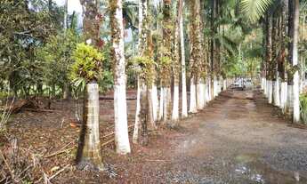 Imagem 4: Vendo belo sitio em garuva