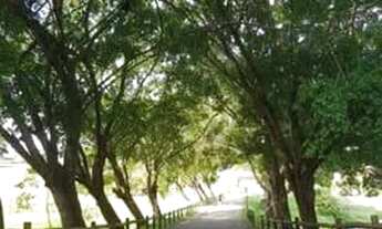 Imagem 7: ! Reserva dos Lagos 69328