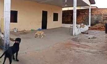 Imagem 5: Vendo casa Casa com 4 dormitórios