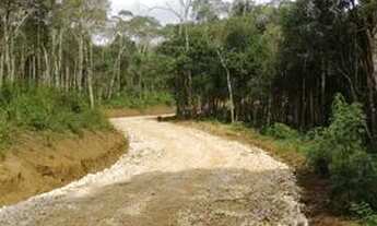 Imagem: Chácara 3 km da igreja do Roseira, Colombo