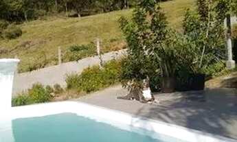 Imagem 7: Alugo casa anual