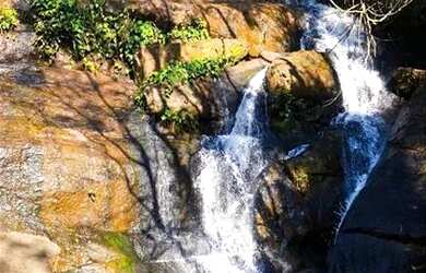 Imagem 9: GATANRA JÁ SEU TERRENO