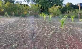 Imagem 6: Posse 13.8 hectares Incra 7 aceit- casa em Vicente Pires ou arniqueiras