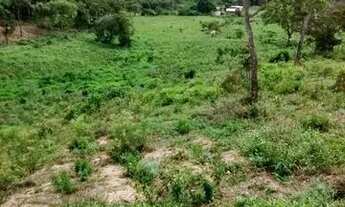 Imagem 3: VendoTerreno 24.000m²