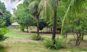 Imagem 2: Sitio estrada União/Lagoa Alegre,  povoado chapadinha 9 km do centro de União