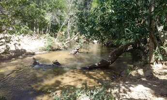 Imagem 3: Fazenda Planaltina DF