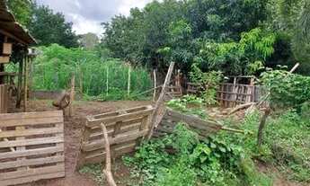 Imagem 5: Chácara em Caldazinha