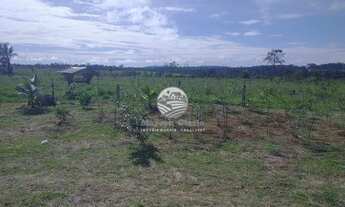 Imagem 7: Venda - Sítio - Machadinho D'Oeste - 6,5 alqueires