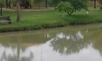 Imagem 7: Terreno à venda, 1000 m² - Terras da Barra - Mendonça/SP