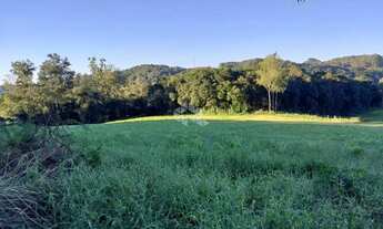 Imagem 2: Área de terra de 02 hás agricultável