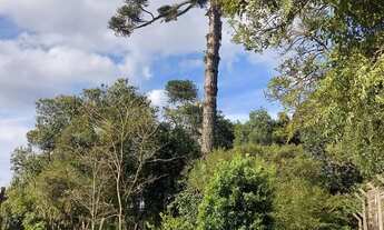 Imagem 3: Terreno em Canela