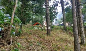 Imagem 3: Lote em Rua da Britadeira - Britadeira - São Francisco de Paula/RS