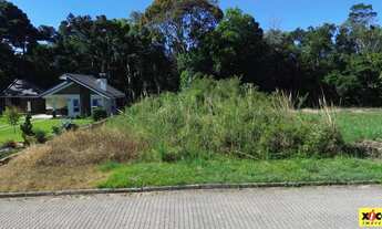 Imagem 2: Terreno para Venda em Nova Petrópolis, Juriti