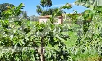 Imagem 6: Rural Terreno sem Condomínio em São Carlos