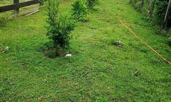 Imagem 5: Vende-se fazenda porteira fechada em mucajai