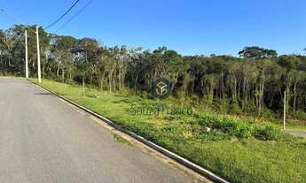 Imagem 4: Terreno à venda, 250 m² por R$ 320.000,00 - Cézar de Souza - Mogi das Cruzes/SP