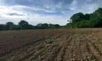 Imagem: Fazenda a venda, em Cocalzinho de Goias!!!