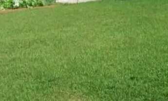 Imagem 3: Chácara de 16.000m² em Cambuci-Rj