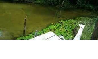 Imagem 2: Vende-se terreno na am 010 km 155 com terreno dos dois lado da pista com 61000m²