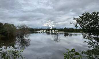 Imagem: FAZ. DUPLA APTIDÃO EM BRITÂNIA GO - NIL