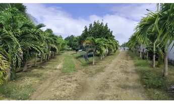 Imagem 4: Espetacular Casa de Campo em Paripueira, AL!