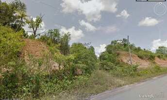 Imagem 3: Vende-se terreno na am 010 km 155 com terreno dos dois lado da pista com 61000m²