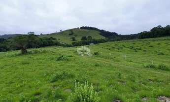 Imagem 3: Chácara com 3 hectares no Juá em São Francisco de Paula