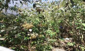 Imagem 7: Terreno no Bairro Rudge Ramos em São Bernardo do Campo