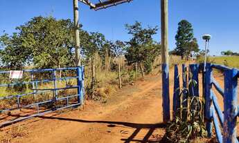 Imagem: FAZENDA À VENDA OU ARRENDAMENTO COM 55