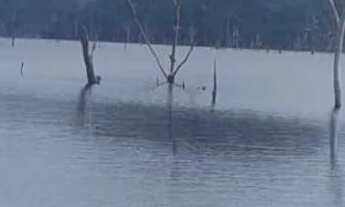 Imagem 6: Área de 1511 hectares