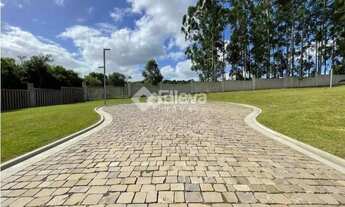 Imagem 6: Terreno à Venda - Prado